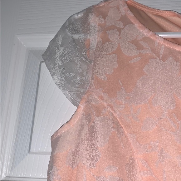BEAUTIFUL BLUSH FIT AND FLARE - Picture 3 of 5